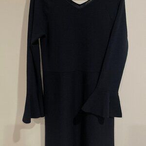 Ann Taylor Navy Sweater Dress